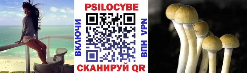 Псилоцибиновые грибы прущие грибы  darknet как зайти  Улан-Удэ 